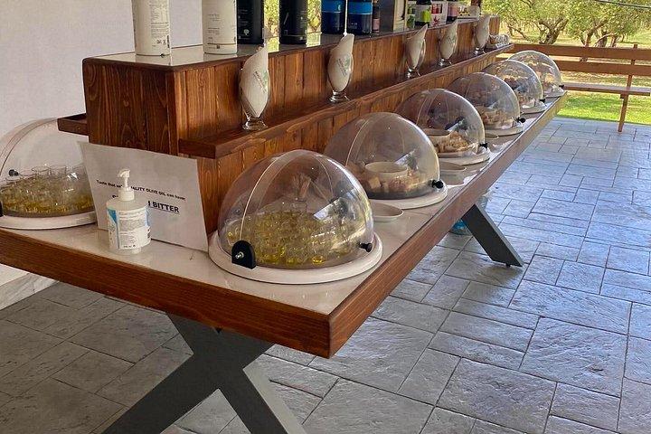 Tour privato e pranzo greco a Olimpia