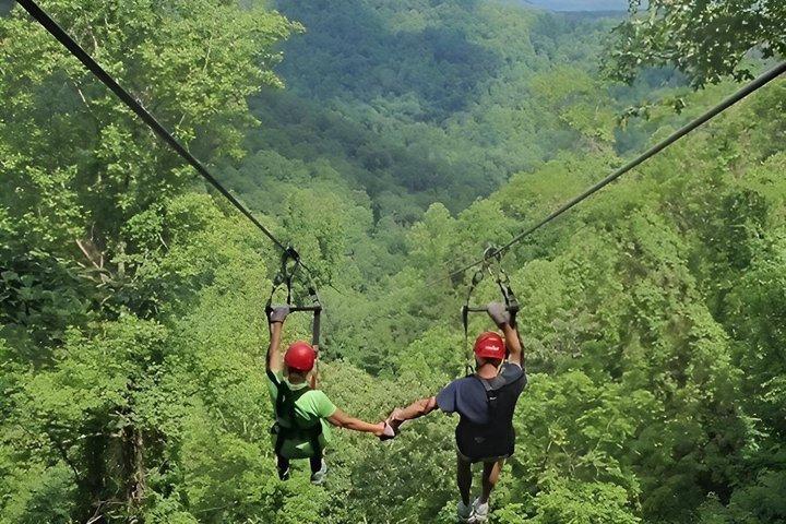 Shared Kereita Forest Guided Tour