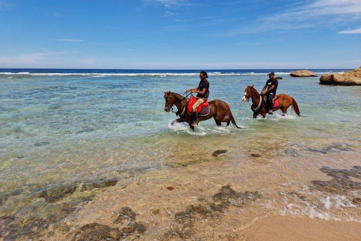 マカディ湾の乗馬アドベンチャー