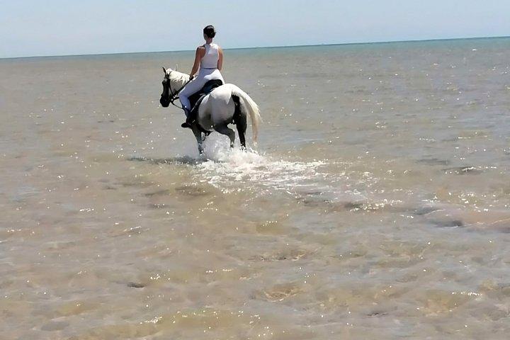 マカディ湾の乗馬アドベンチャー