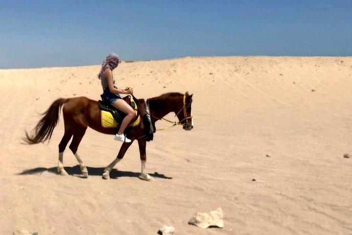 マカディ湾の乗馬アドベンチャー