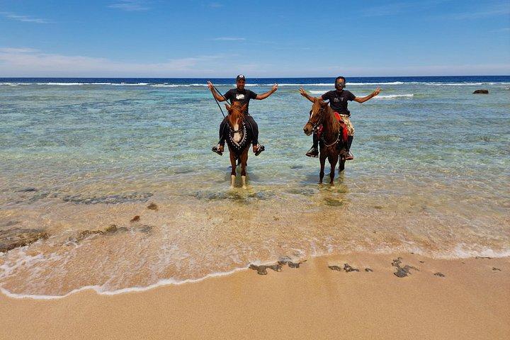 マカディ湾の乗馬アドベンチャー