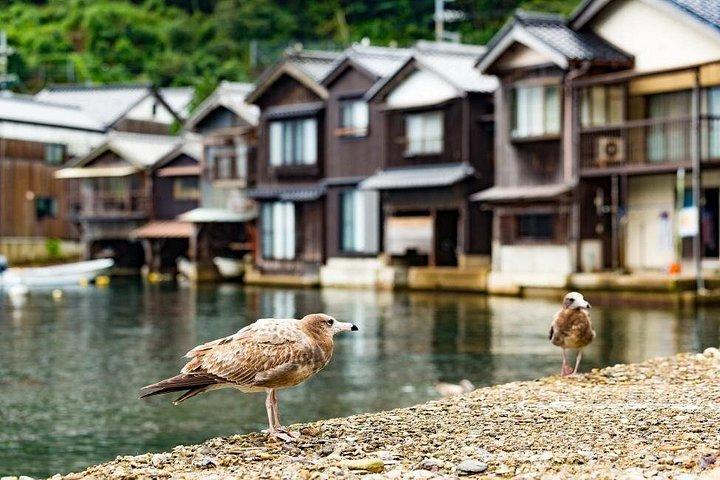 京都丹後シートレイン天橋立伊根ベイツアー大阪