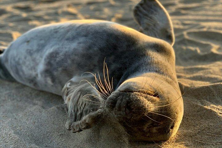 ハウス半日コース:城、村、山頂の景色