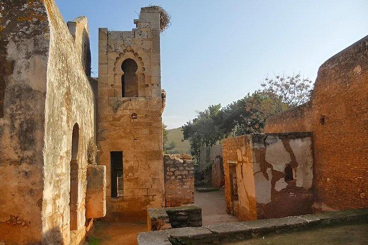 モハメッド6世タワーのパノラマ展望台登頂とチェラ遺跡訪問