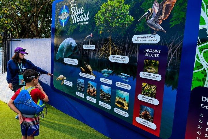 Clear Bottom Kayak Nature Tour in San Juan Condado Lagoon