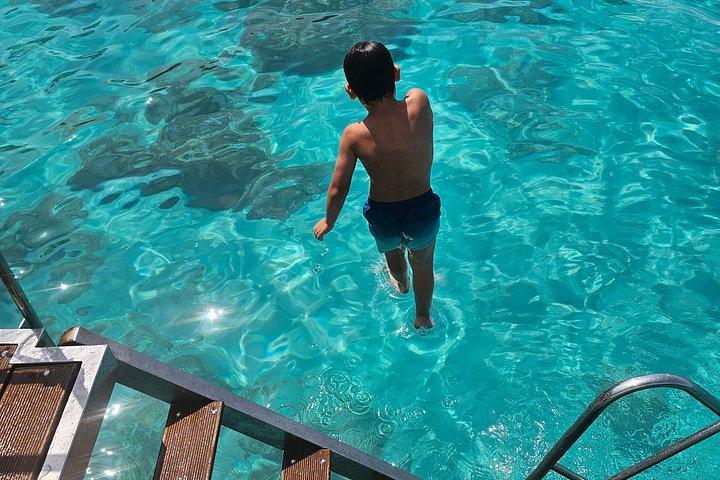 「夢のようなクルーズ」伝統的なギリシャのボートでアルゴストリ港からデイリー クルーズ
