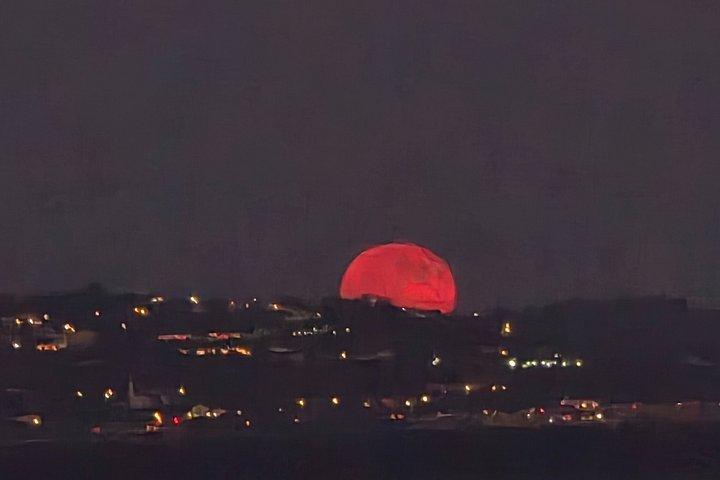 夢のようなクルーズ サンセット ツアー (ディナーと飲み放題ワイン付き)