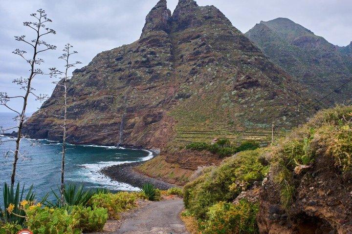 Vilde Tenerife: Naturlige pools og klipper