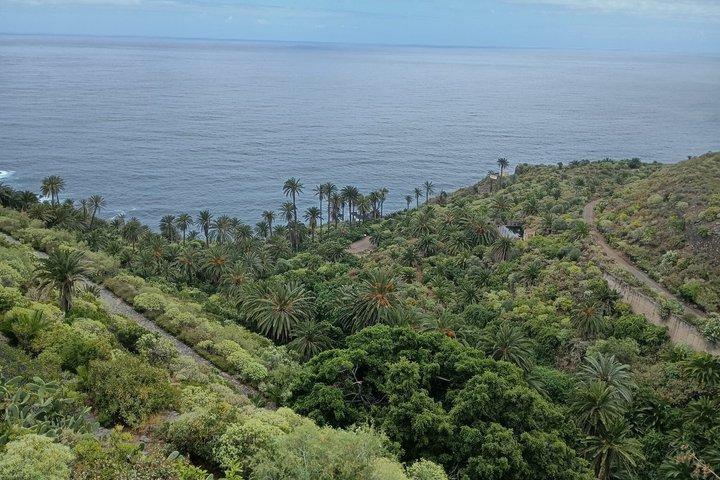 Vilde Tenerife: Naturlige pools og klipper