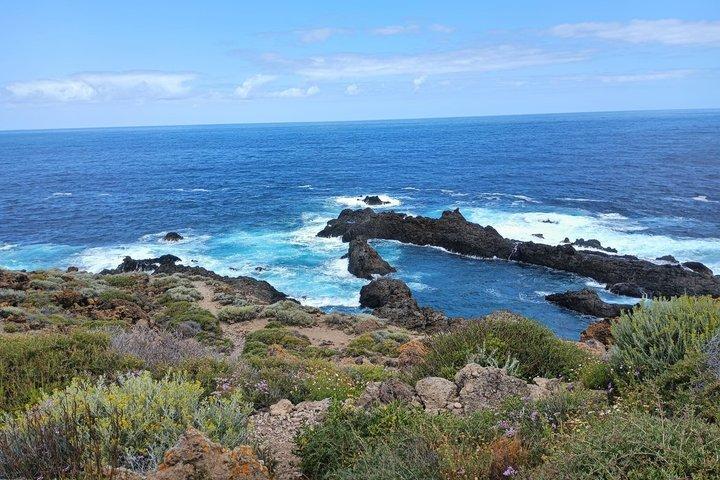 Vilde Tenerife: Naturlige pools og klipper