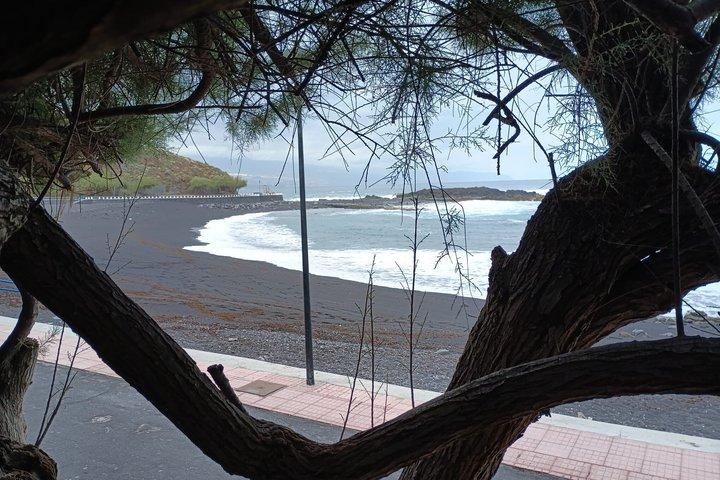 Vilde Tenerife: Naturlige pools og klipper