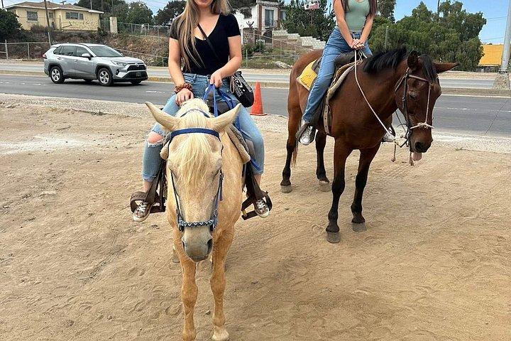 ATV'er Rosarito/Paintball/Ridning i bjergene + Transport