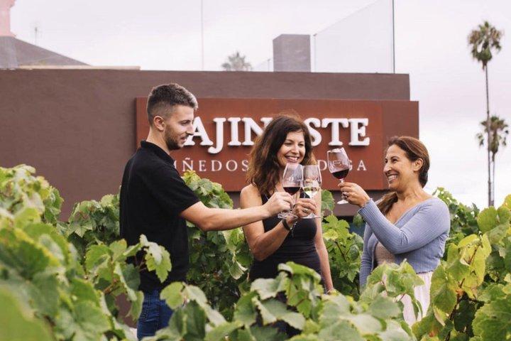 Visite des vins volcaniques : vignobles du patrimoine et dégustation à Tenerife