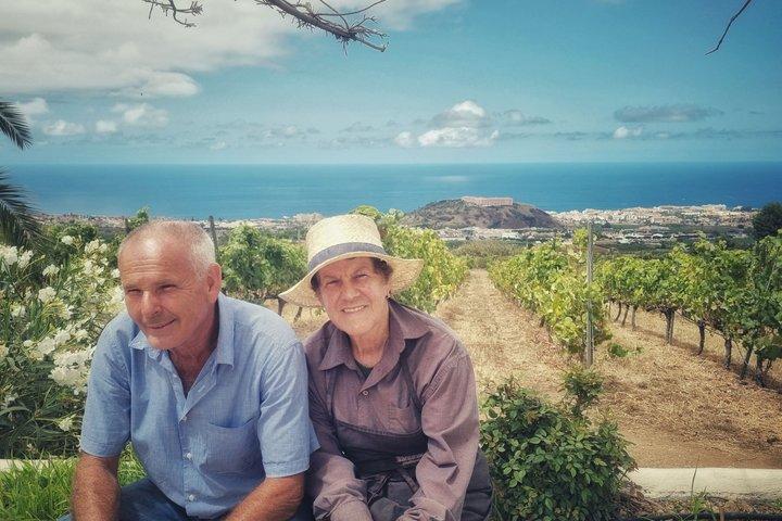 火山ワインツアー：テネリフェでヘリテージ・ヴィンヤード＆テイスティング