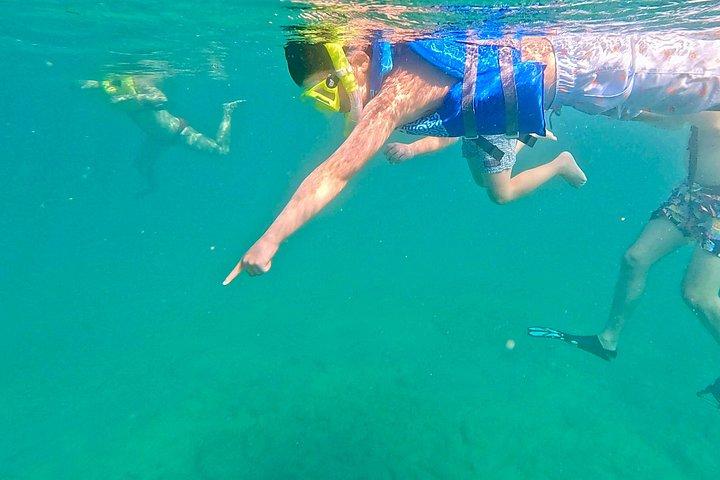 フォートローダーデール：軽食付き少人数スノーケリングツアー