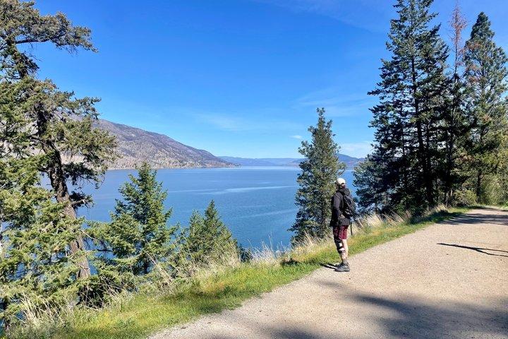Kelowna : Begeleide wandeling op Knox Mountain en Okanagan Lake Views