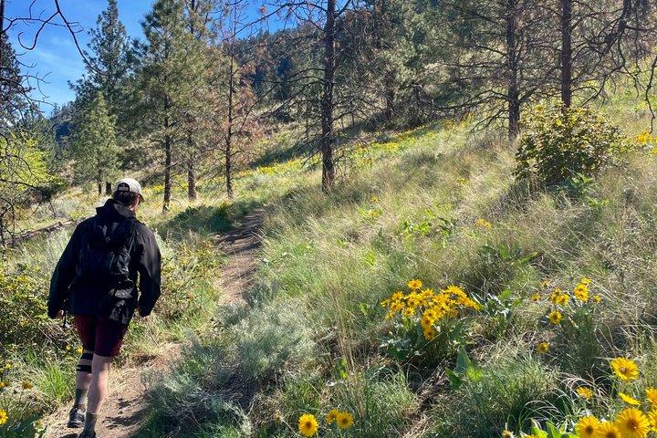 Kelowna : Begeleide wandeling op Knox Mountain en Okanagan Lake Views