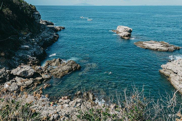 カプリ＆ソレント完全日プライベートボート（島での自由時間付き）