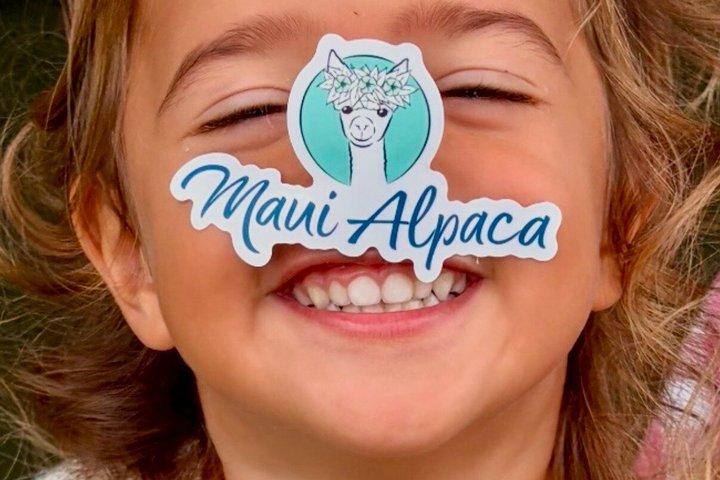 Maui Alpaca and Angora Bunny Farm Experience