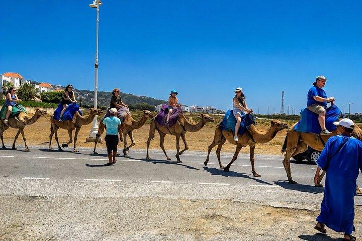Tangier Private City Tour Cap Spartel Hercules Caves and Medina