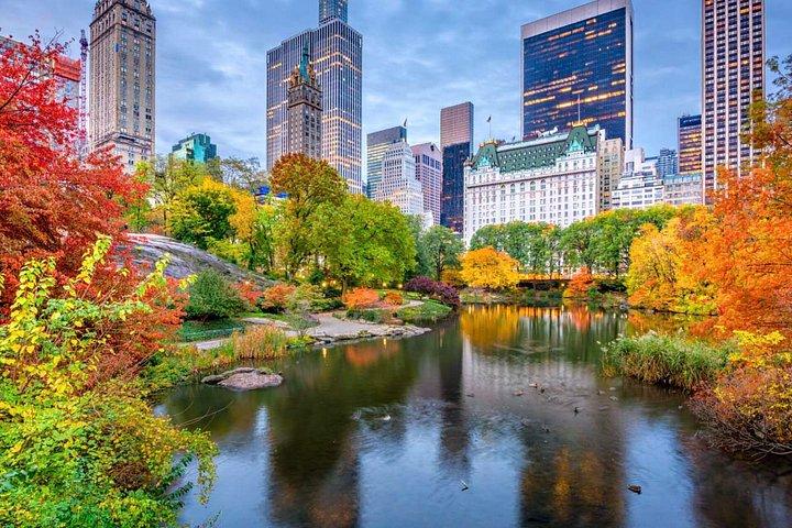 Central Park E Scooter Rentals