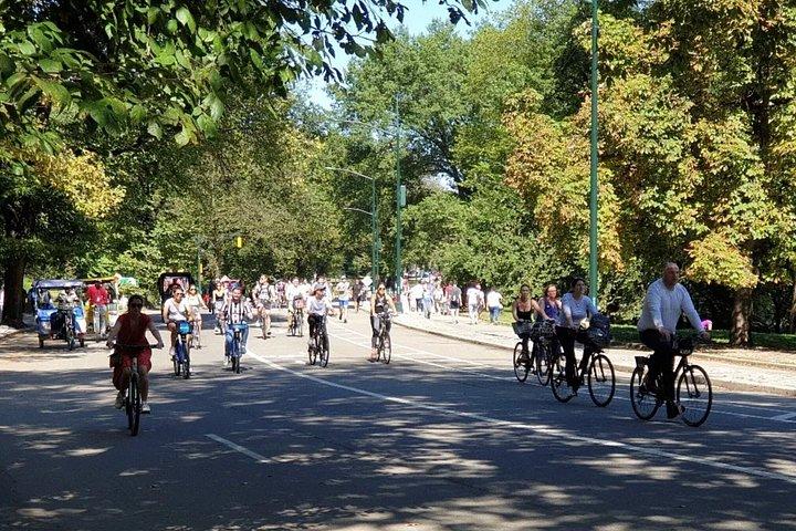終日パスバイクレンタルズニューヨーク