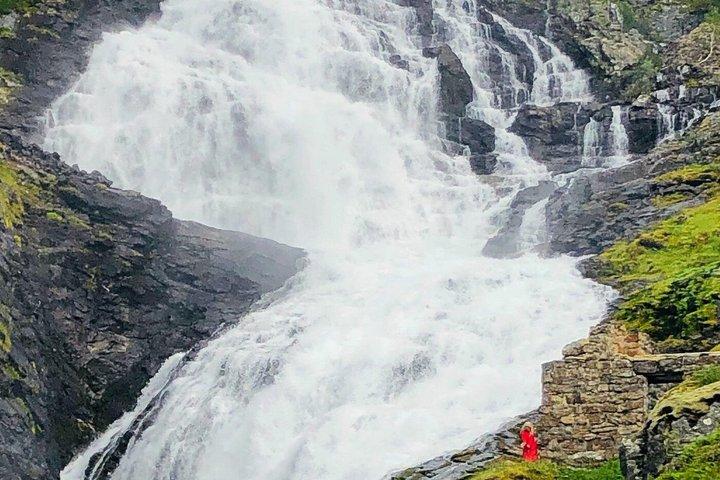 Journée complète privée Oslo à Sognefjord avec Flam Railway Stegastein