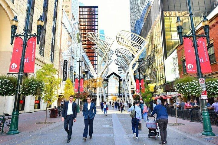 カルガリー市内ハイライトツアー：タワー、ヘリテージパーク＆ルックアウト