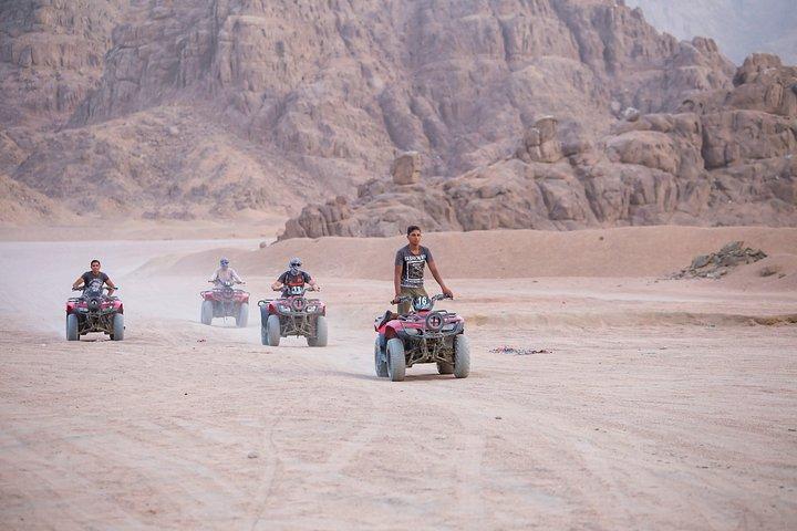 Sharm El-Sheikh : ATV Quad、バギー、星空観察、BBQディナー＆ショー