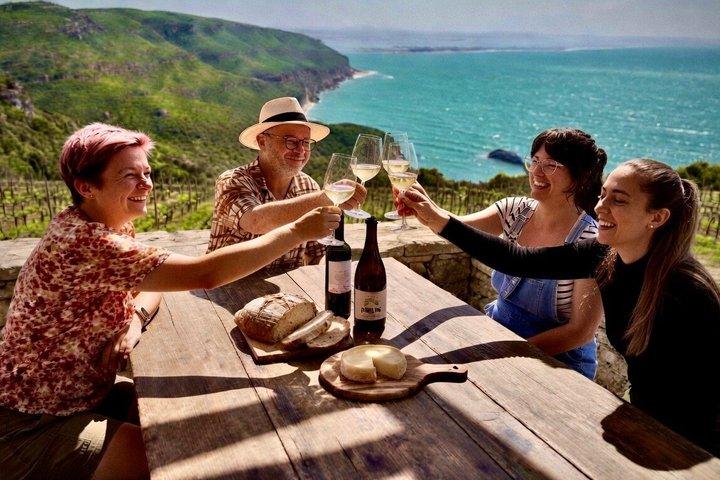 Lisbonne : Visite privée des vins de Setúbal et Arrábida - Tout compris