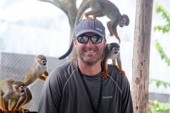 2x1 : Monkeys Land Plus Drive a Dune Buggy à Puerto Plata