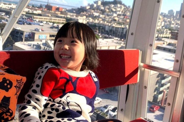 San Francisco SkyStar Wheel - Private Gondolas