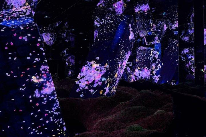 Anmeldelse af Tokyo TeamLab Planets