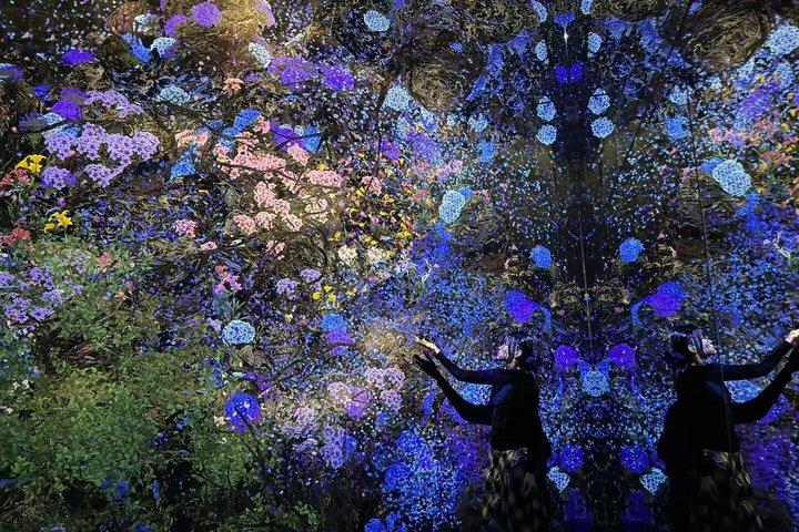 東京チームラボプラネッツ入学