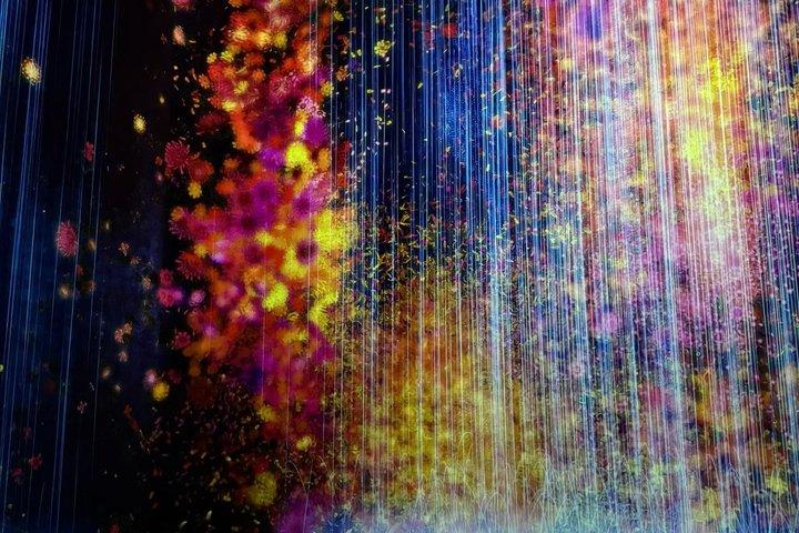Anmeldelse af Tokyo TeamLab Planets