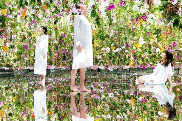 Anmeldelse af Tokyo TeamLab Planets