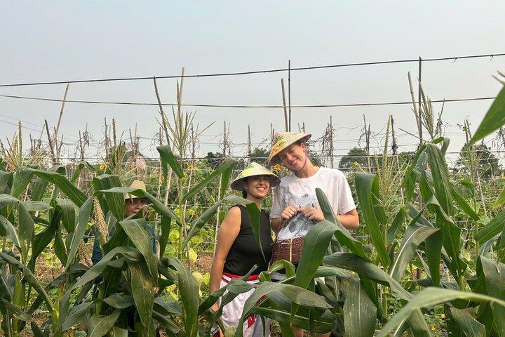 Hanoi Cykling Sunset City Highlight og Farm til bord madlavning