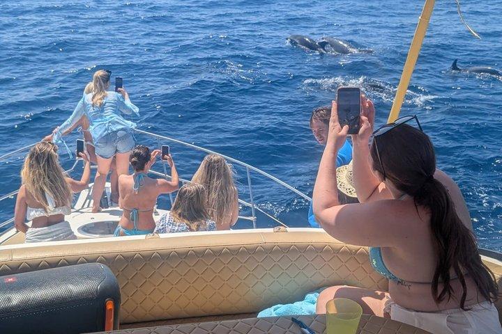 2 ore Privato Yacht viaggio bevande e delfini da Fuengirola