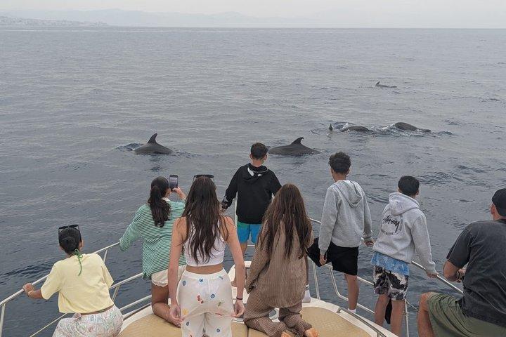 2 ore Privato Yacht viaggio bevande e delfini da Fuengirola