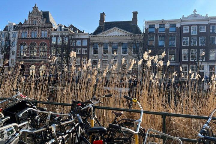 Afslør ufortalte historier af Amsterdam Walking Tour