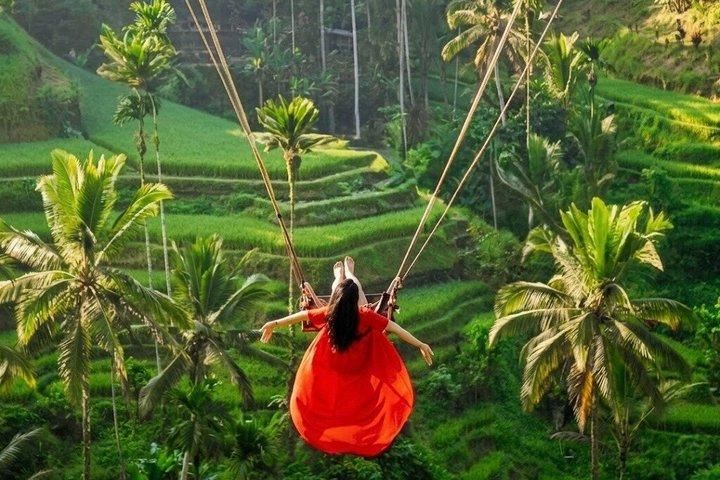 Ubud Tour: Monkey Forest, vandfald, tempel og ris terrasser