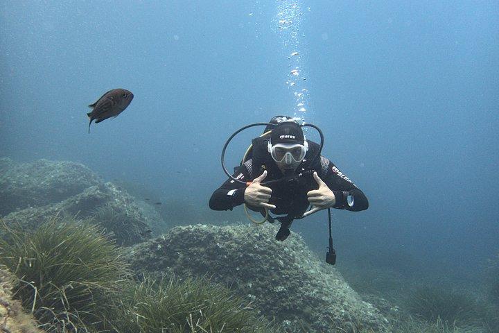Immersioni private a Minorca con guida per subacquei certificati.