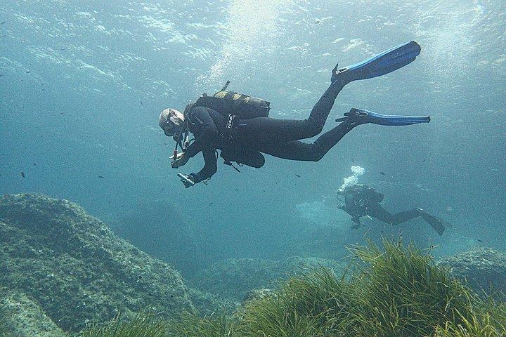 Immersioni private a Minorca con guida per subacquei certificati.