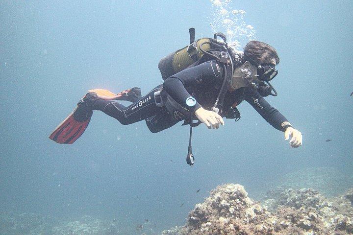 Immersioni private a Minorca con guida per subacquei certificati.