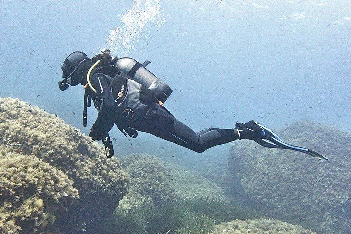 Immersioni private a Minorca con guida per subacquei certificati.