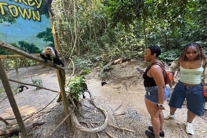 Crazy Clem Sloths, Monkeys & Island Adventure With a local guide