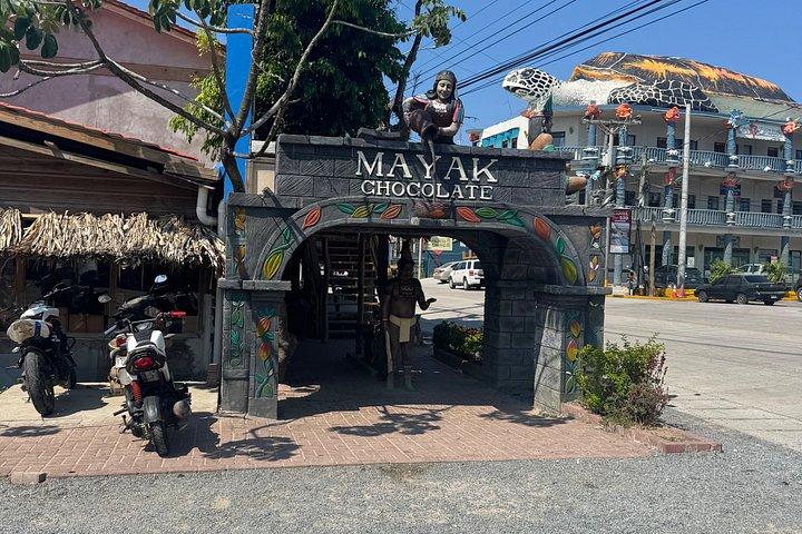Crazy Clem Sloths, Monkeys & Island Adventure With a local guide