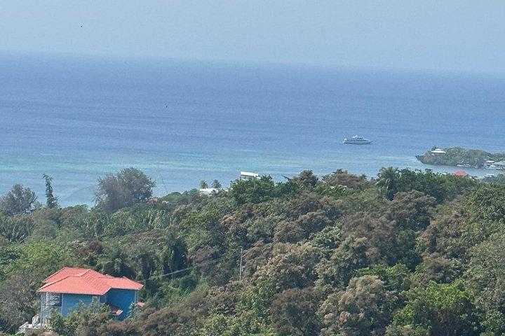 Crazy Clem Sloths, Monkeys & Island Adventure With a local guide