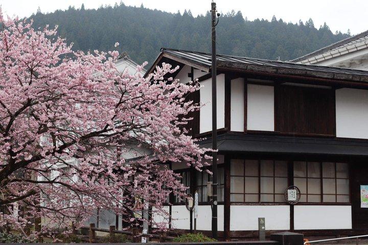 Shirakawago och Takayama Jinya UNESCO Heritage Tour från Nagoya